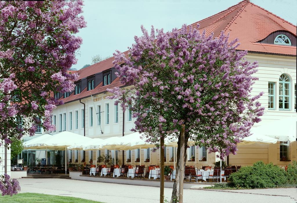 Schloss Hotel Dresden Pillnitz Exteriör bild